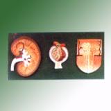 HUMAN KIDNEY L.S.